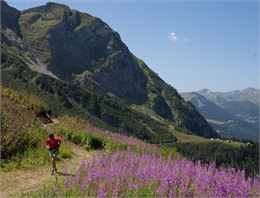 Parcours trail 5 bleu : Morzinette