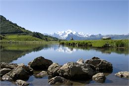 Parcours trail 15 bleu  : Nyon Joux Plane