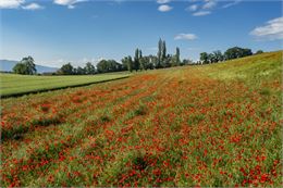 De villages en paysages - Gilles Lansard