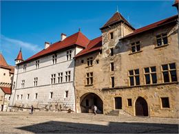 Façades dans la cour du Musée-Château d'Annecy - Gilles PIEL