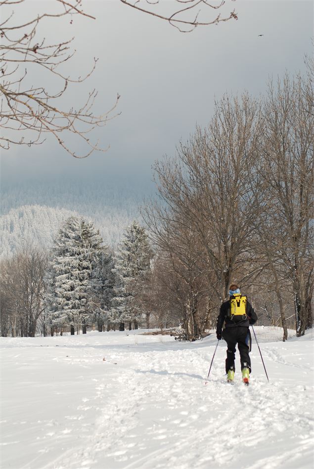 ski de fond - BIS séez