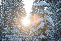 Balade au Village des Lindarets en Hiver