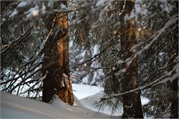 De l'Érigné à Chardonnière en Hiver