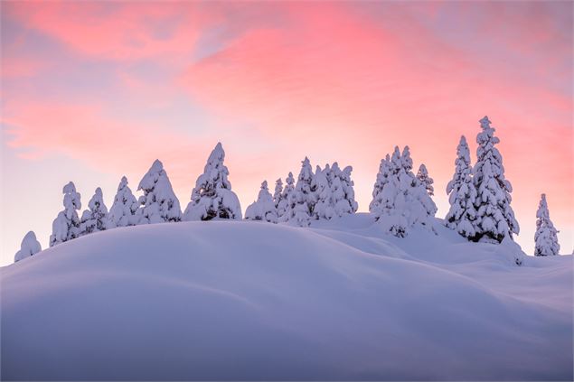 Le sentier du renard