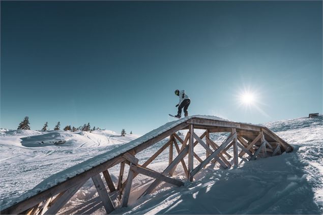 Skieur sur un module en bois - Alpigraphie / Matthias Kröll