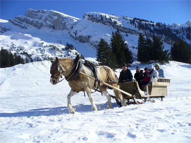 Traîneau attelage sur neige