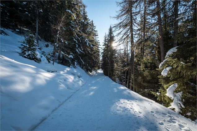 Chemin - Les Arcs