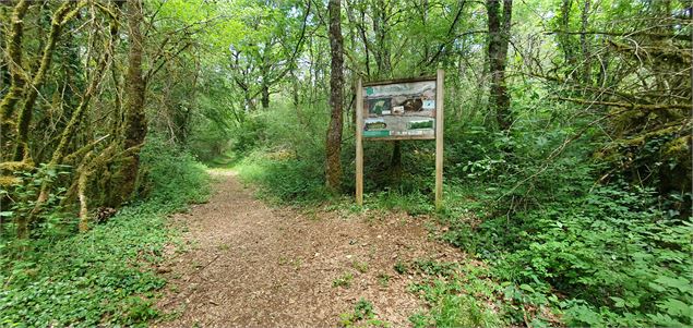 Réserve Naturelle de la grotte de  Hautecourt_Hautecourt-Romanèche - GBA