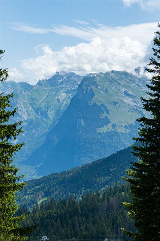 Vue depuis la Croix des 7 Frères - Haut-Giffre Tourisme