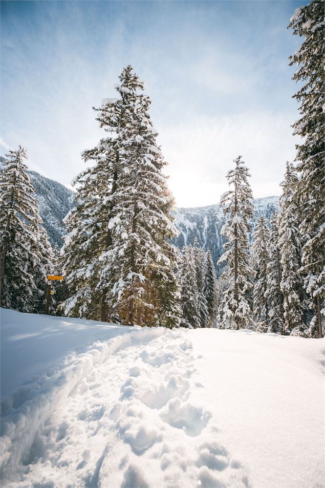 randonnée raquettes - Courchevel Tourisme