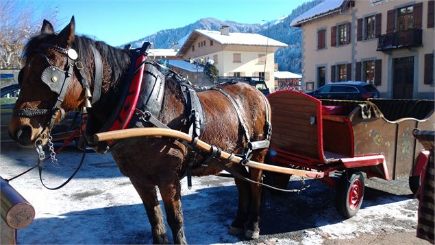 Balade en calèches