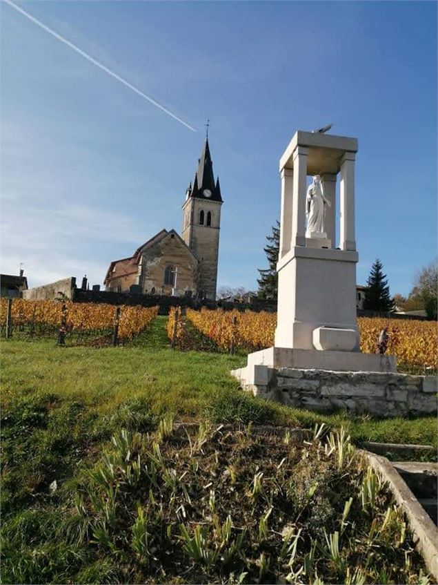 La forêt de Bohas_Bohas-Meyriat-Rignat - scalland