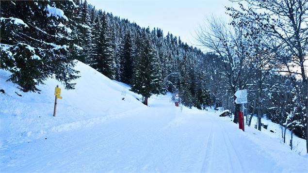 Itinéraires damés - La Plagne Vallée