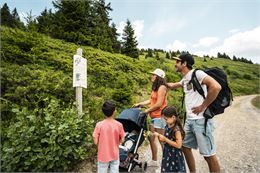 Balade en famille sur le sentier des oiseaux - L.Meyer - Châtel