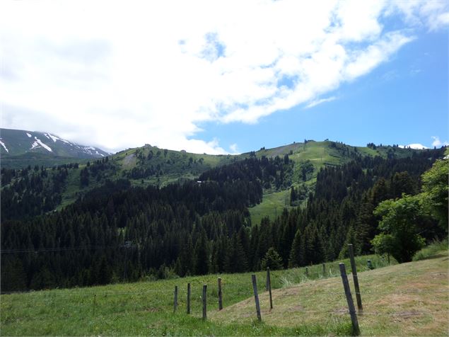 Crête du Mont d'Arbois - OT ST GERVAIS