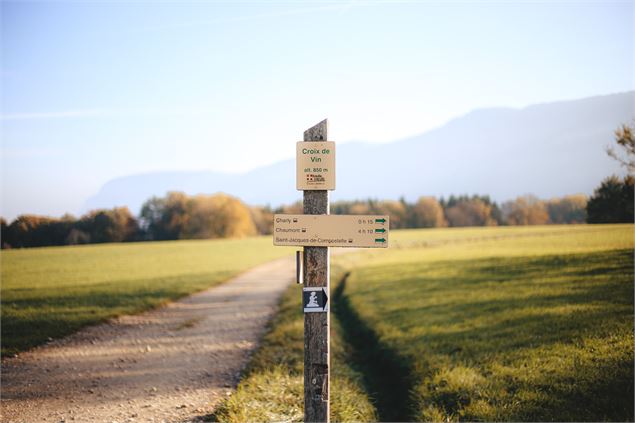 Croix et vestiges visibles sur le sentier des Graniteurs - Charly - OT Monts du Genevois - A. Modyle