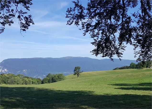 Sentier pédestre du Mont Clergeon - grande boucle - K.Mandray