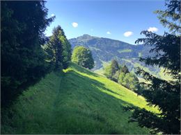 bois des têtes - Praz sur arly- tourisme