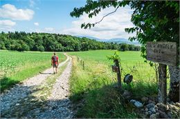 Sentier pédestre les chemins d'Angely