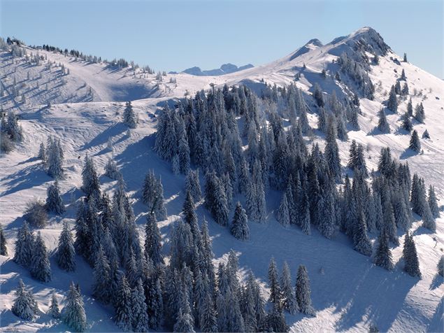 vue aérienne du massif alpin - OTADL