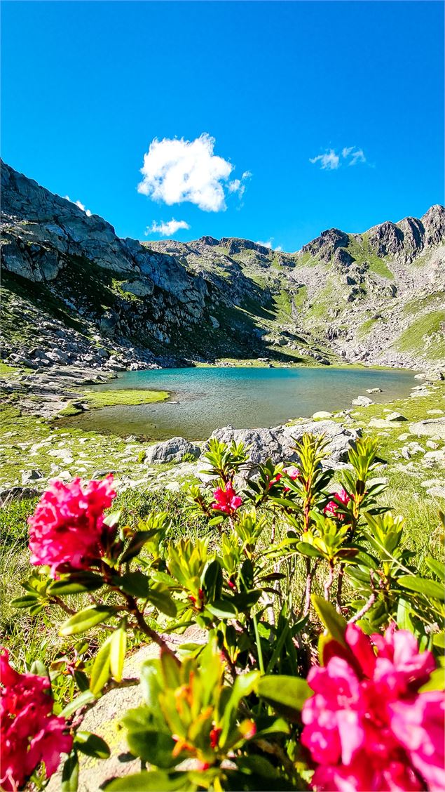 Circuit de randonnée : Lac du Petit_Sainte-Foy-Tarentaise - Sainte Foy Tourisme