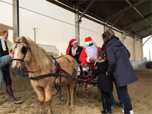 Pony park - Ecurie de la Salamandre