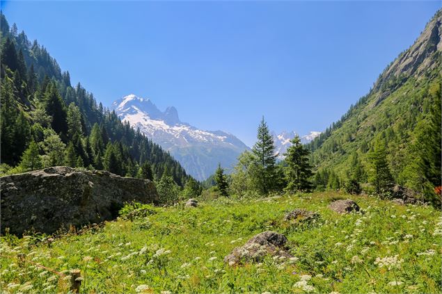 Col des Montets - paysage - Salomé Abrial