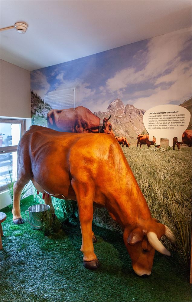 Coopérative Laitière de Haute Tarentaise - Espace d'exposition