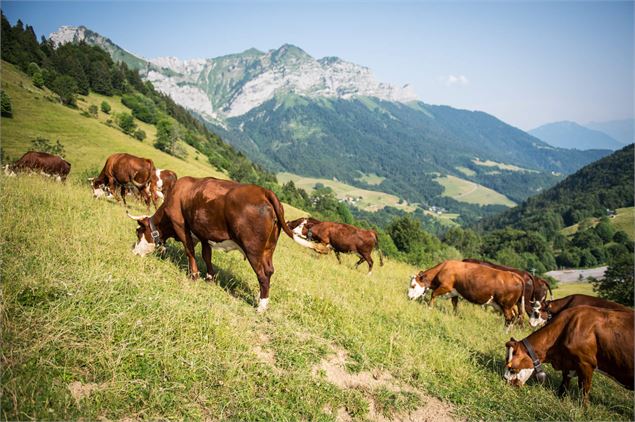 Montmin alpage vue Col de l'Aulp - Lac Annecy Tourisme / Françoise Cavazzana