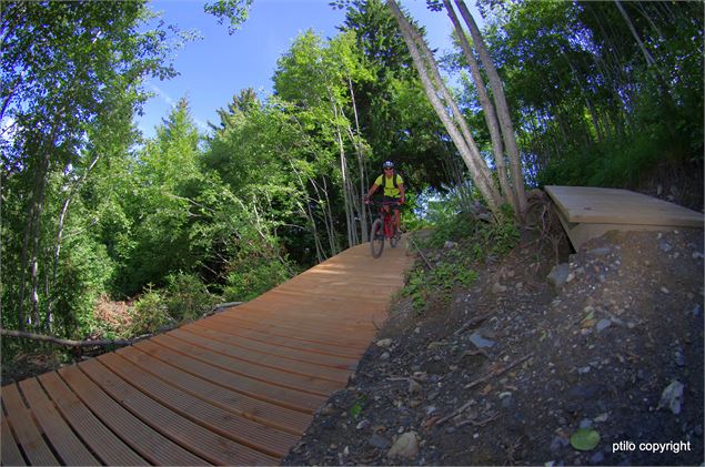 passerelle forêt - ptilo copyright