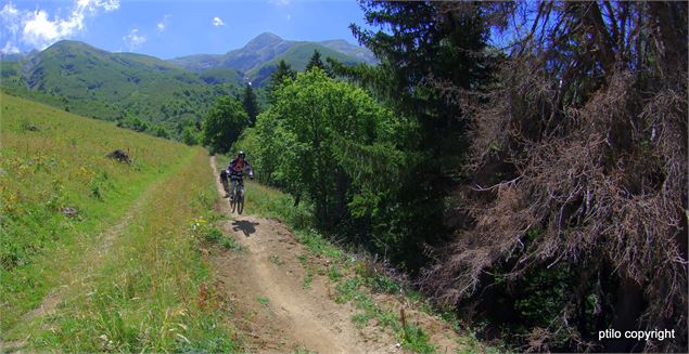 Piste de descente VTT Sans les Roulettes - ptilo copyright