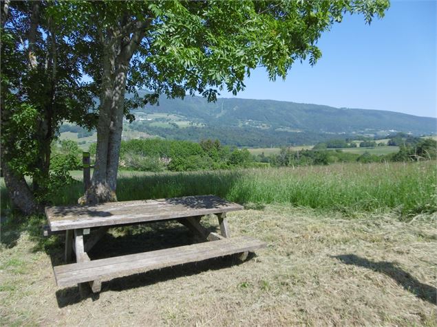 Aire de pique nique - Menthonnex en Bornes - Alter Alpa Tourisme