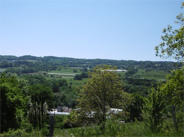 Point de vue vergers Route de Bajole Copponex - ©Alter'Alpa Tourisme