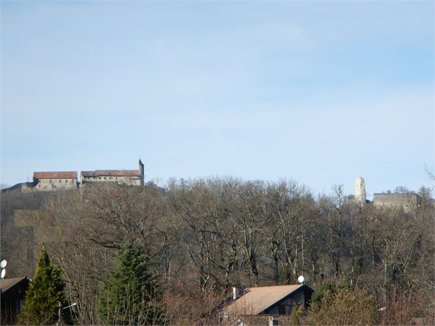 Allinges - Conseil général