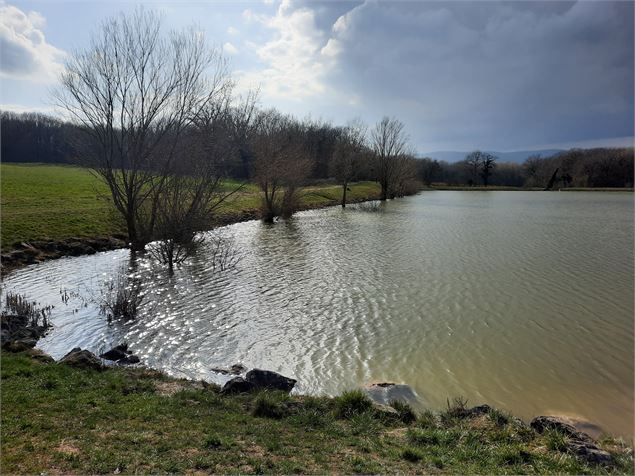 Lac Chenex - OT Monts de Genève