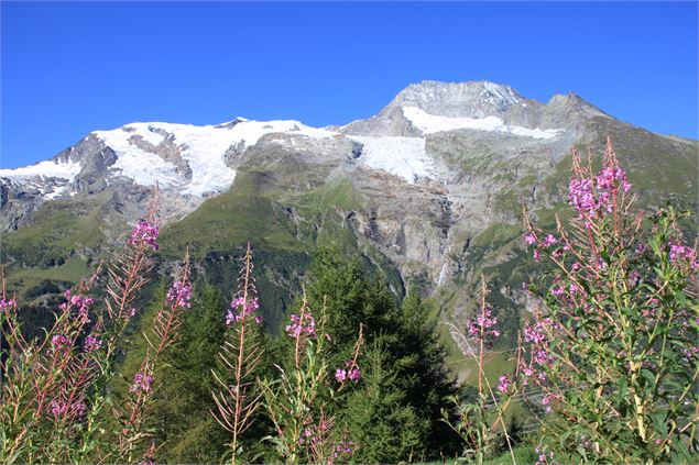 glaciers de la Gurraz - CCHT Philippe Royer