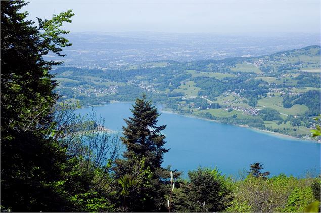 Vue sur l'avant pays - TSMB -  Barbara Covarel