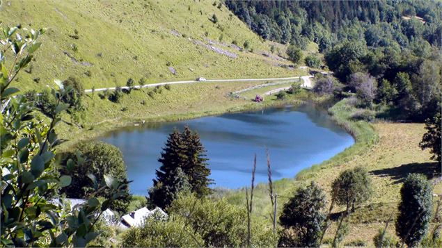 vue du haut