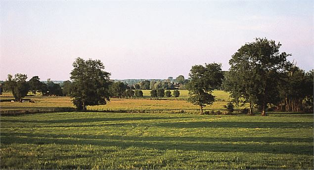 Bocage bressan - Département de l'Ain/ S.Tournier