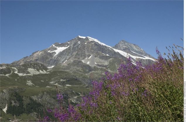 Le Dôme de la Sache, la Grande Parei et le Mont Pourri. - C.Gotti