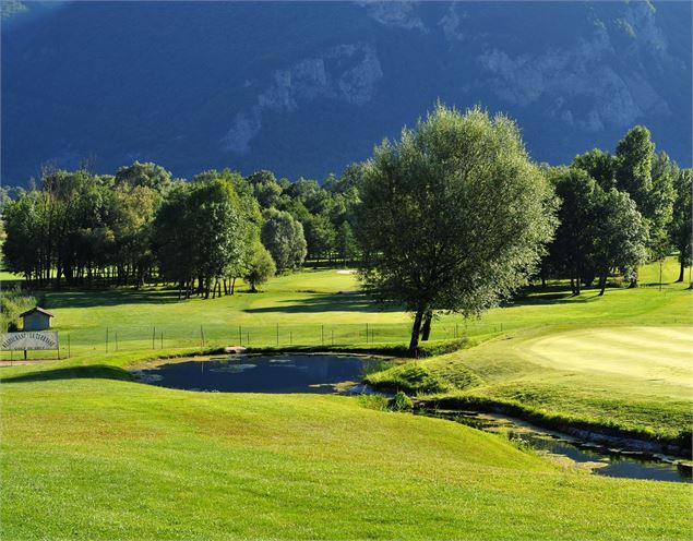 green et arbres ensoleillés - Golf de Giez