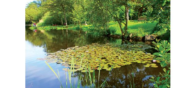 Plan d'eau de Tutegny Cessy - Conseil Départemental de l'Ain