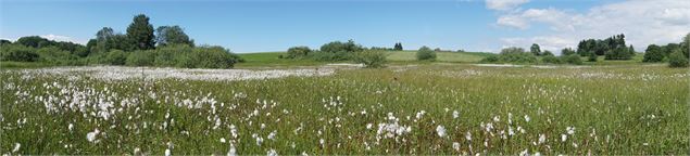 Le plateau des Bornes