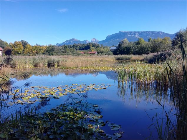 Le plateau des Bornes