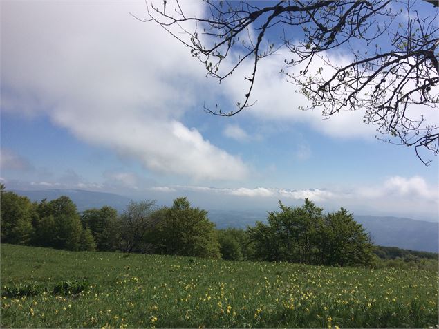 Sur Lyand / Grand Colombier - Jérome Pruniaux et Frédéric Scali