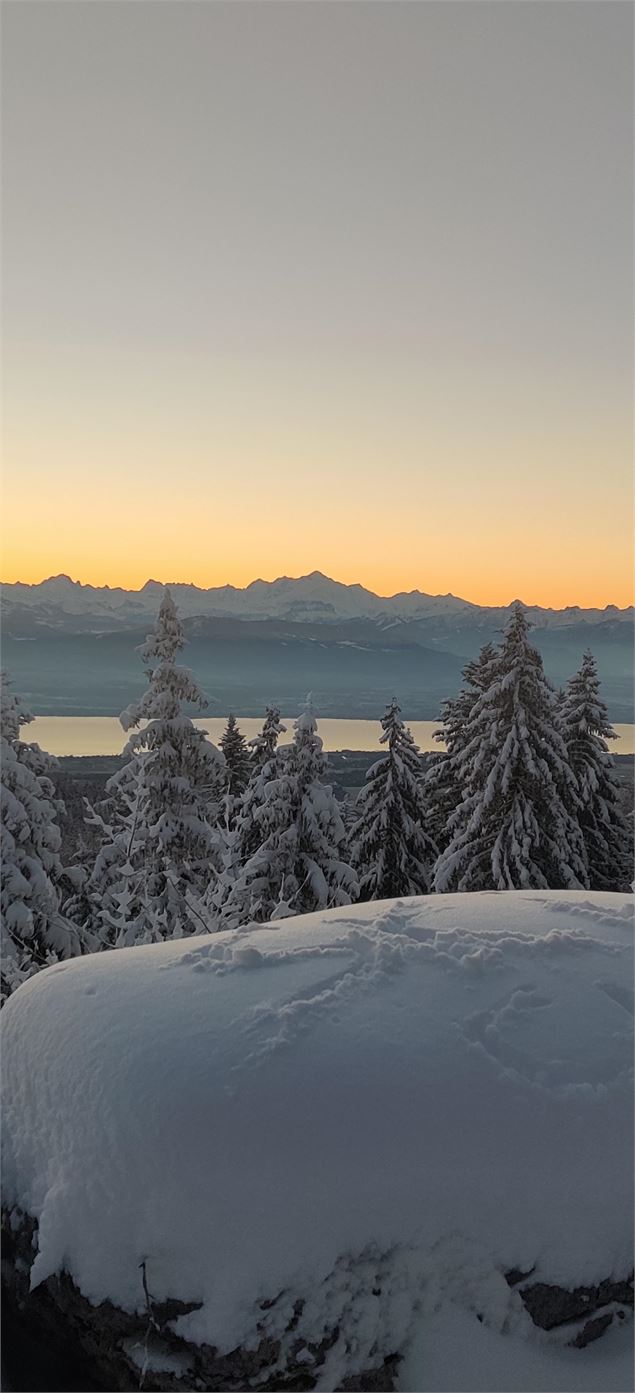 Sur les pistes de fond de la Vattay - ©jthevenard