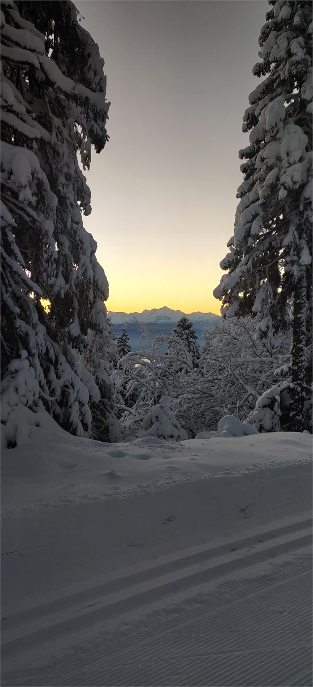 Sur les pistes de fond de la Vattay - ©jthevenard