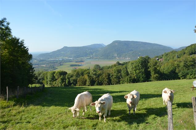 Circuit VTT Les sentiers de Mondragon - Ot Val Guiers