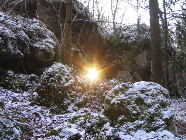 La Grotte du Loup - M.Parsy