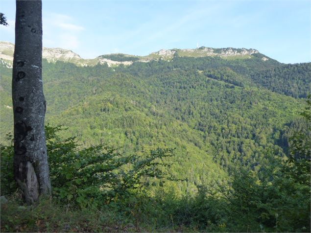 Fenêtre dans le chemin Neuf, permet d'avoir une très belle vue sur la crête - Anne Marie Barbe